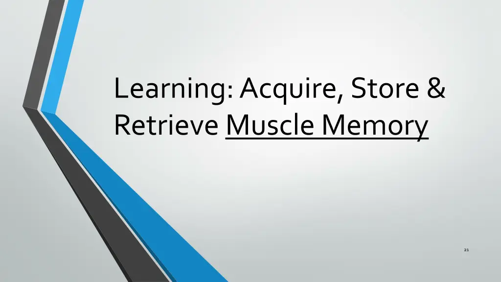 learning acquire store retrieve muscle memory