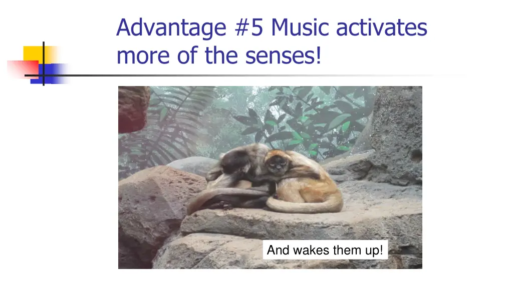 advantage 5 music activates more of the senses