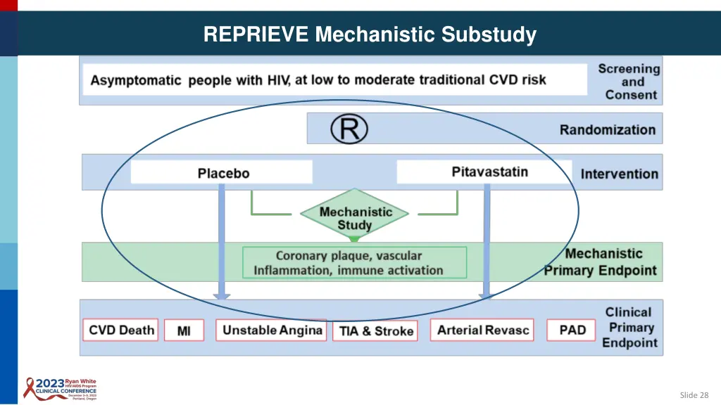 reprieve mechanistic substudy