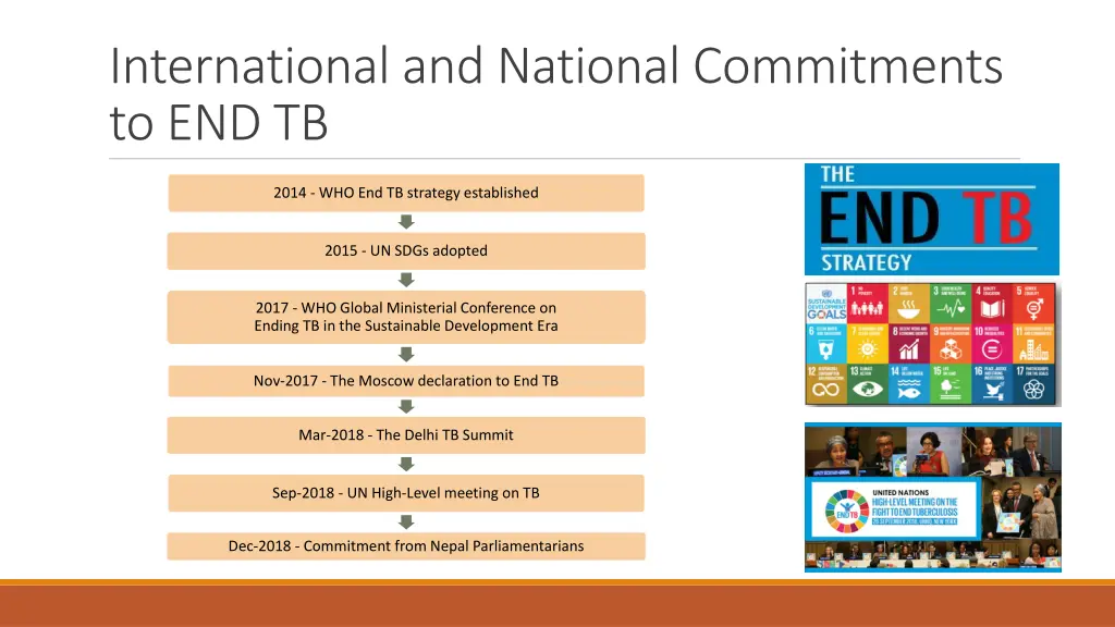 international and national commitments to end tb