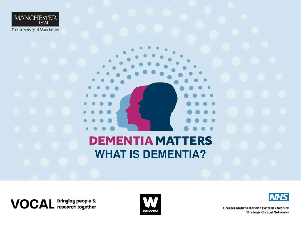 what is dementia 2