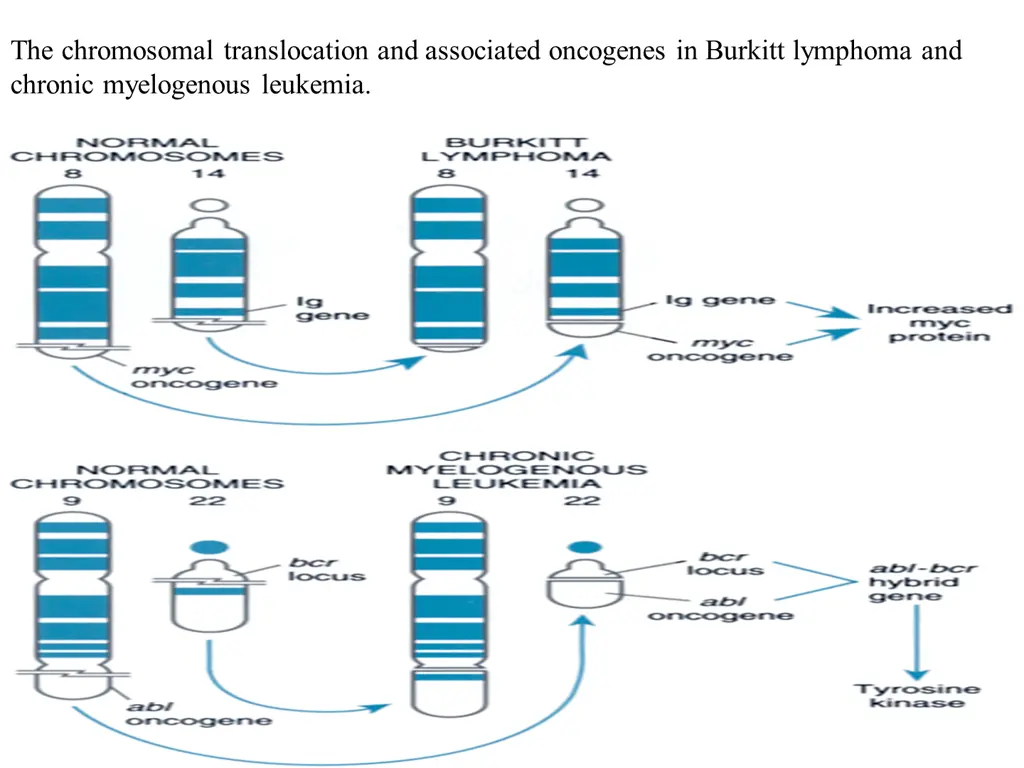 the chromosomal translocation and associated