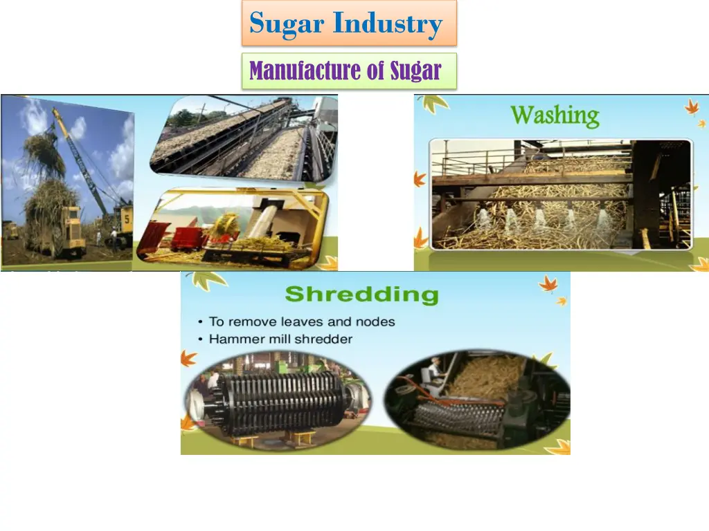 sugar industry 8