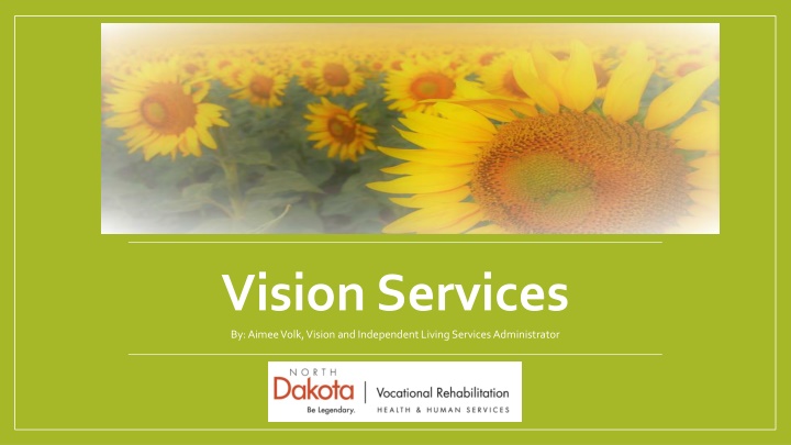 vision services by aimee volk vision