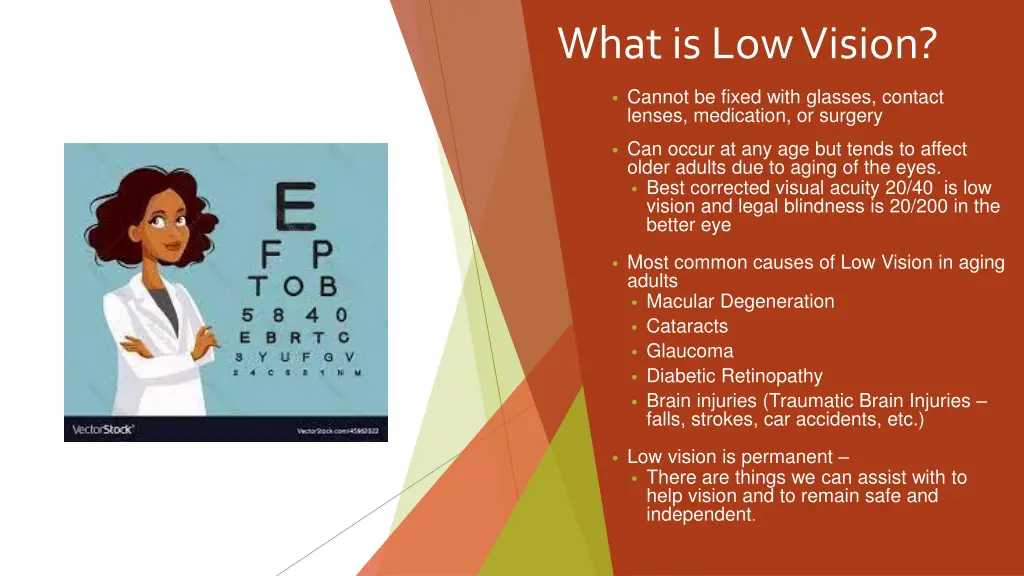 what is low vision