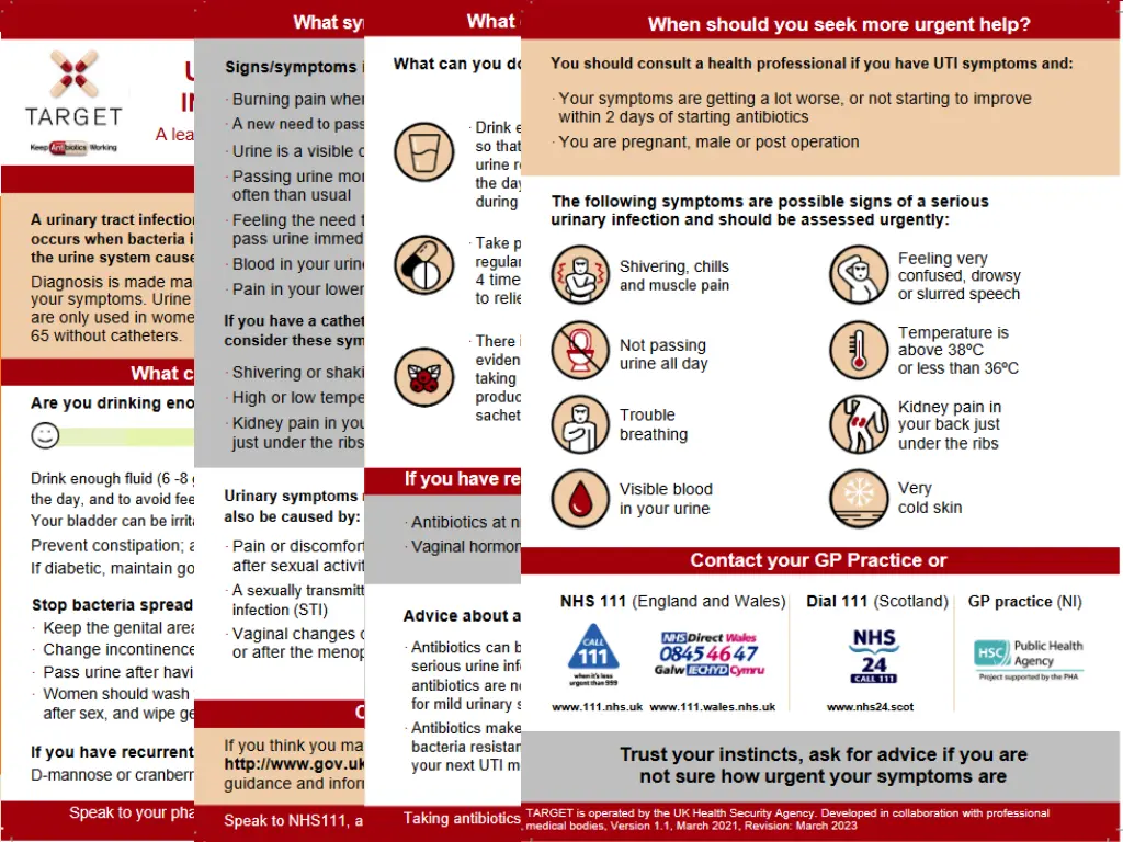 target pictorial leaflet target pictorial leaflet