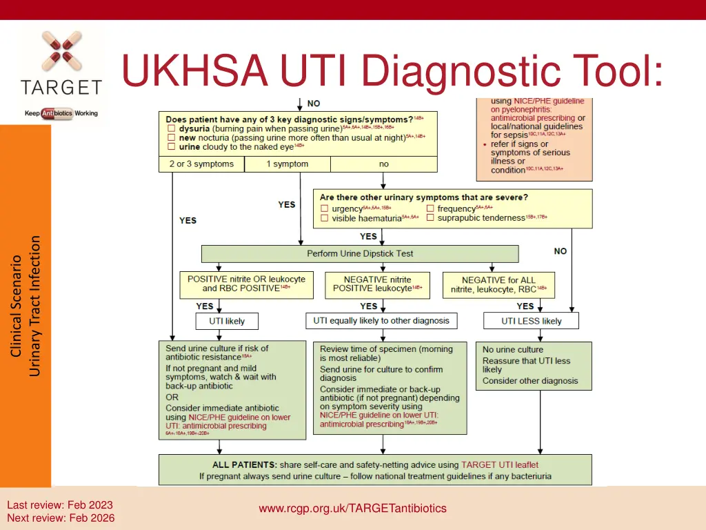 ukhsa uti diagnostic tool 1