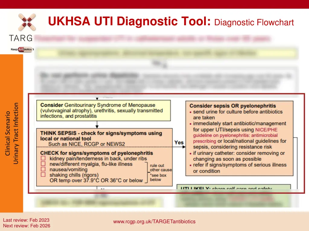 ukhsa uti diagnostic tool diagnostic flowchart 1