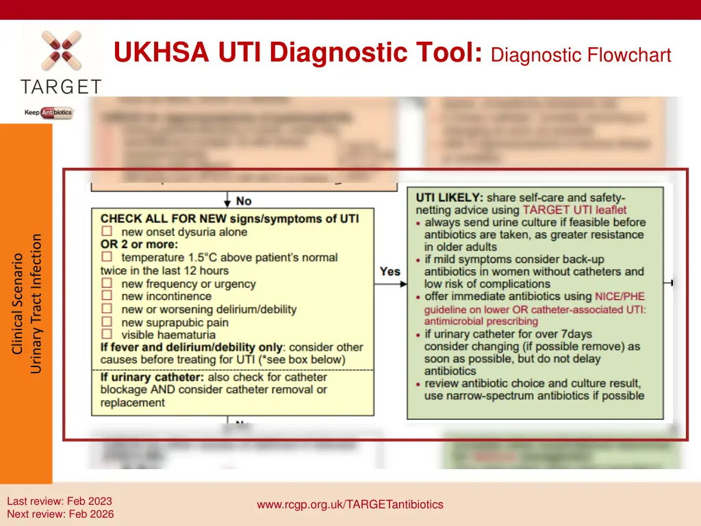 ukhsa uti diagnostic tool diagnostic flowchart 2