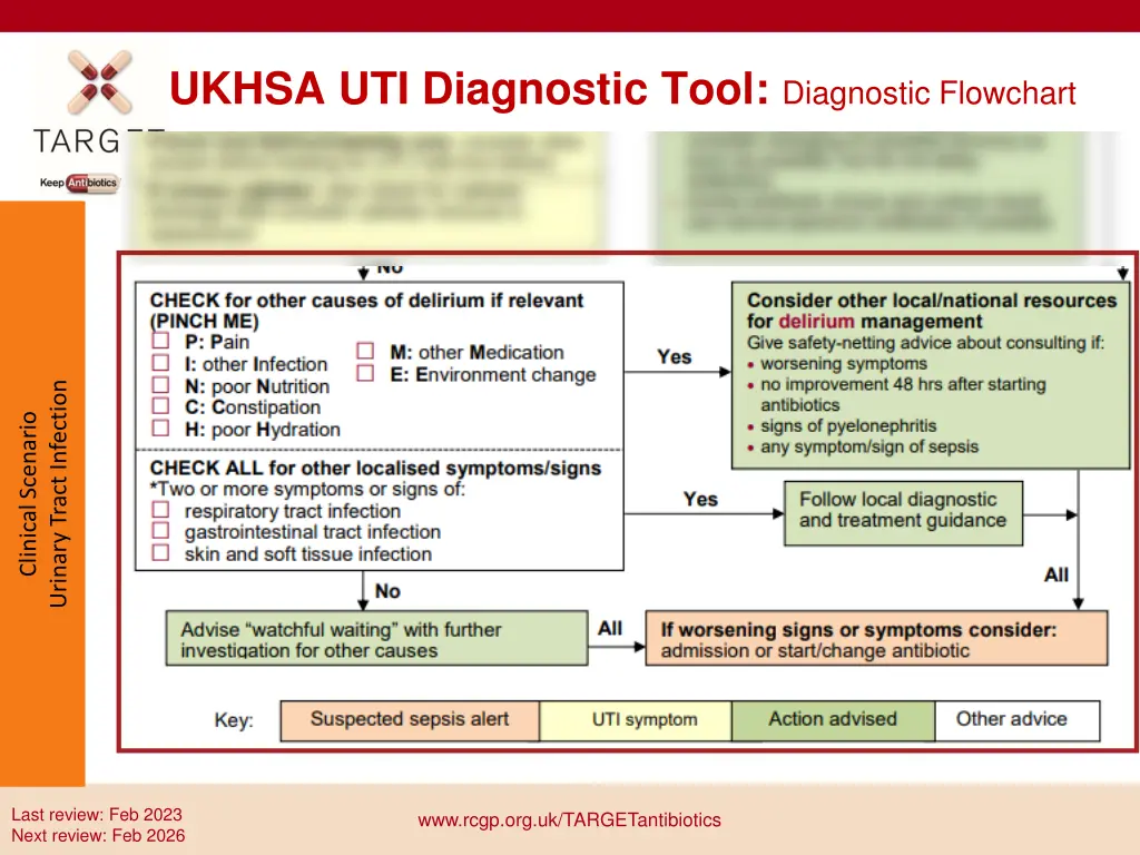 ukhsa uti diagnostic tool diagnostic flowchart 3