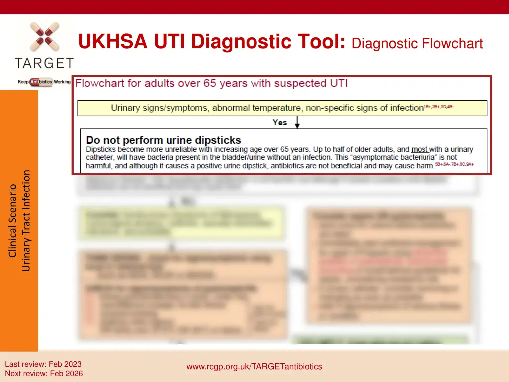 ukhsa uti diagnostic tool diagnostic flowchart