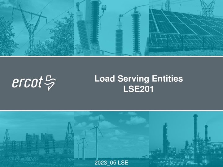 load serving entities lse201