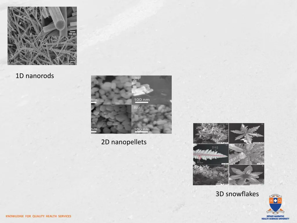 1d nanorods