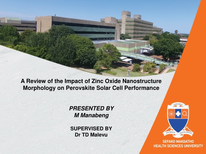 a review of the impact of zinc oxide