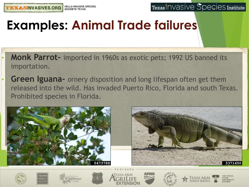 examples animal trade failures 1