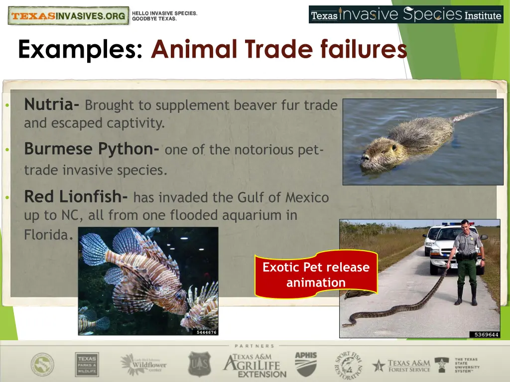 examples animal trade failures