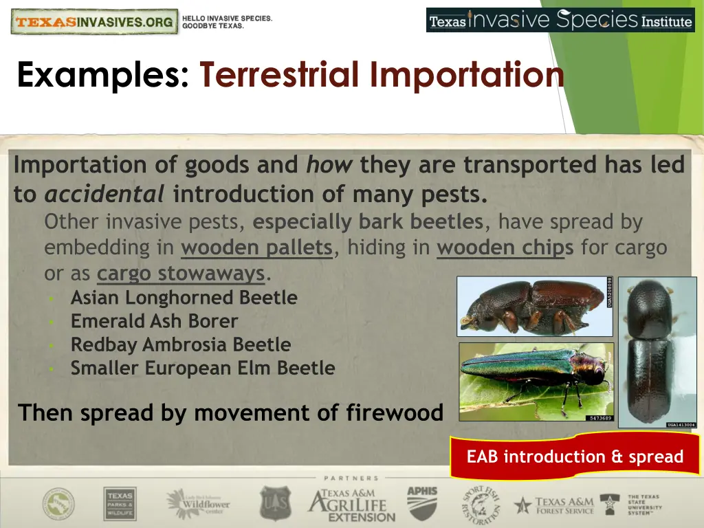 examples terrestrial importation 1