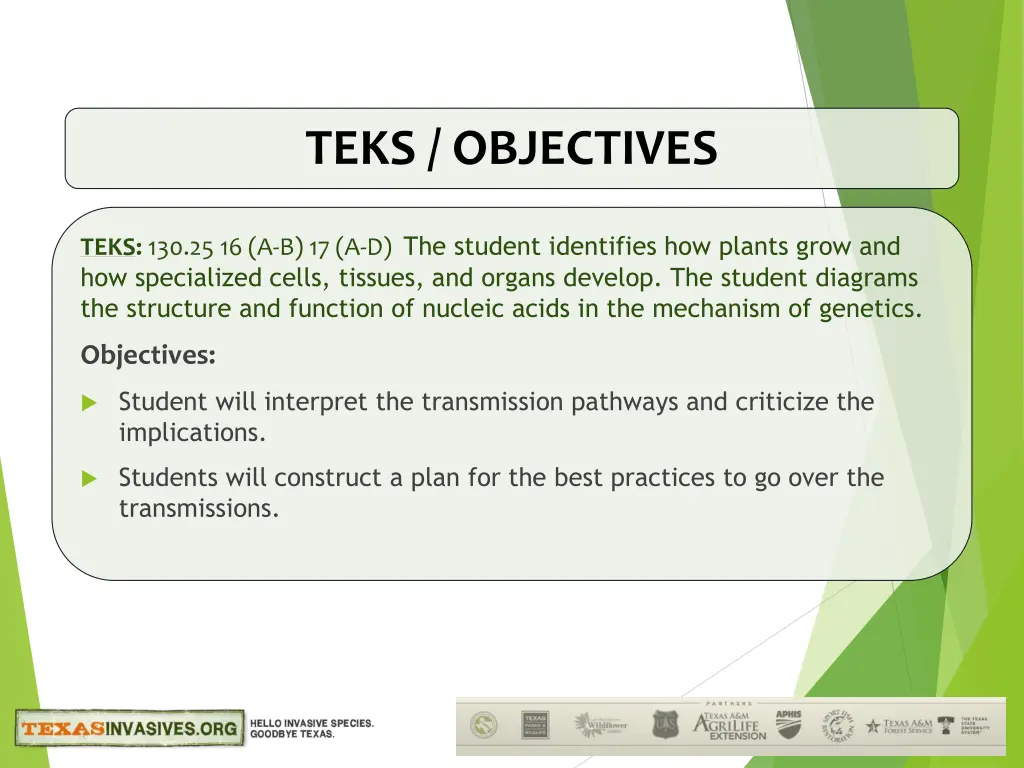 teks objectives