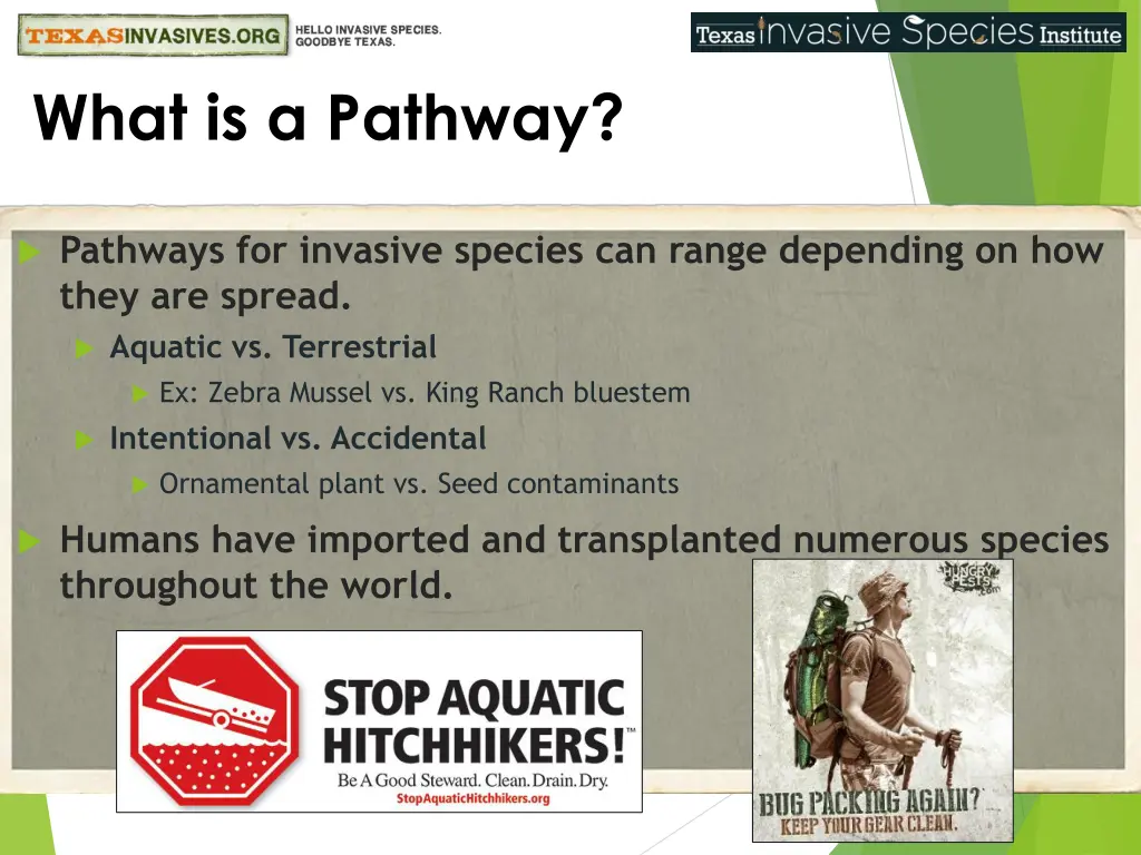 what is a pathway