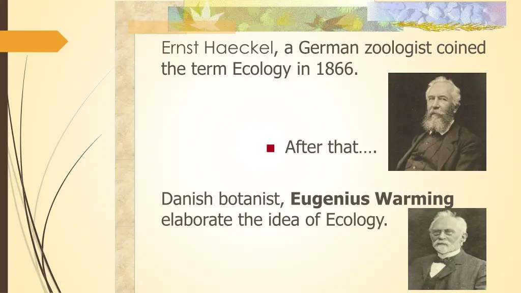 ernst haeckel a german zoologist coined the term