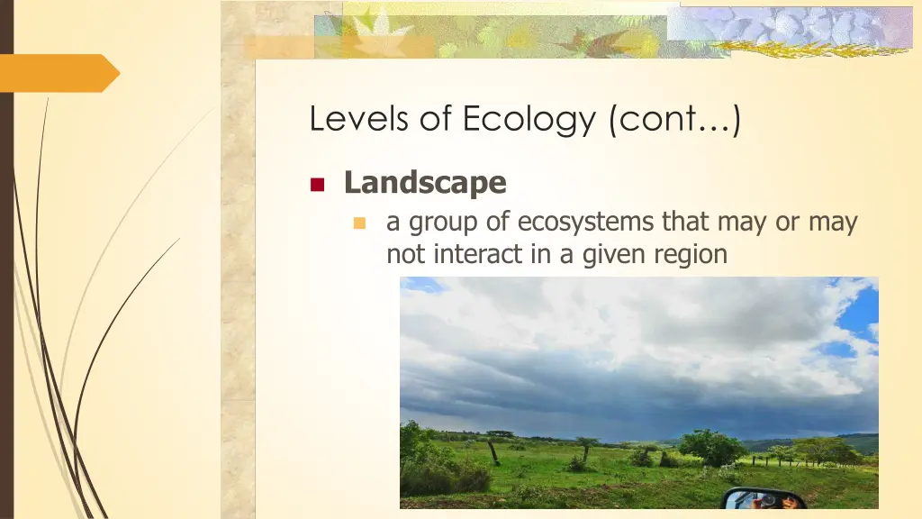 levels of ecology cont 1