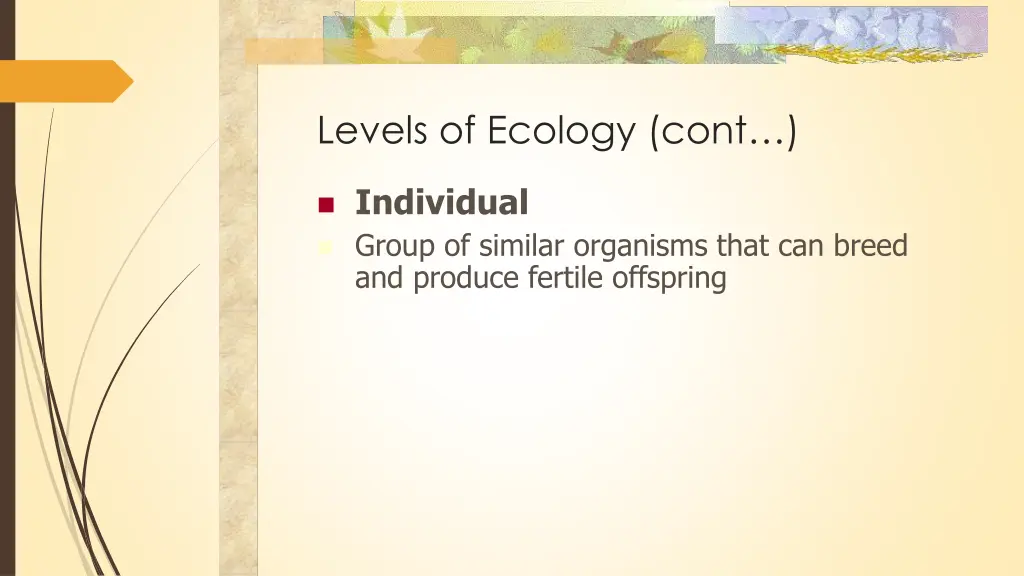 levels of ecology cont 5