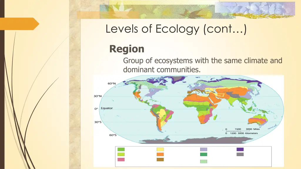 levels of ecology cont
