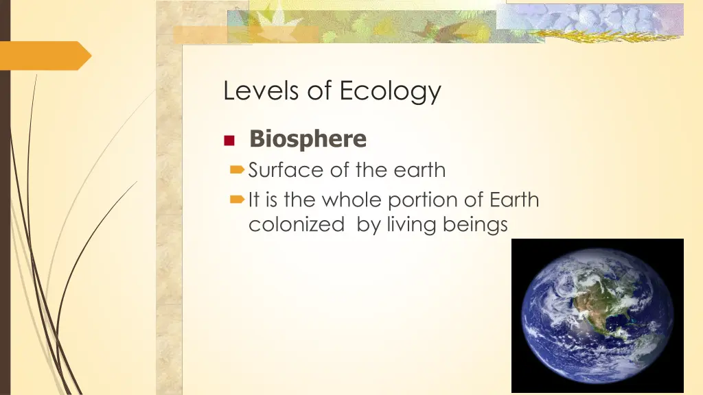 levels of ecology