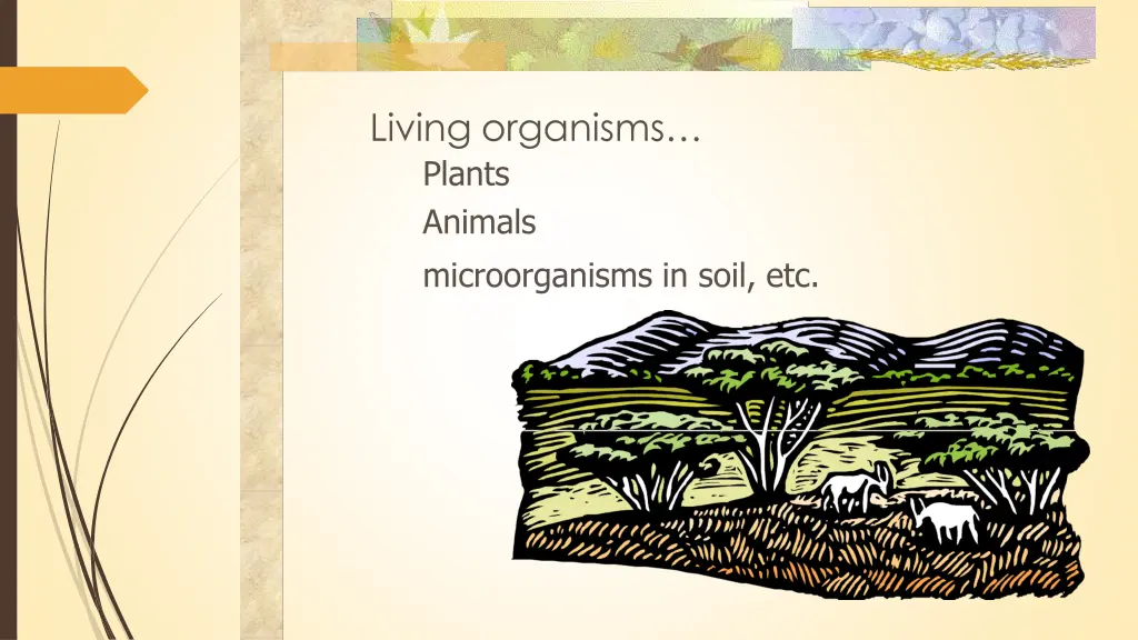 living organisms plants animals microorganisms