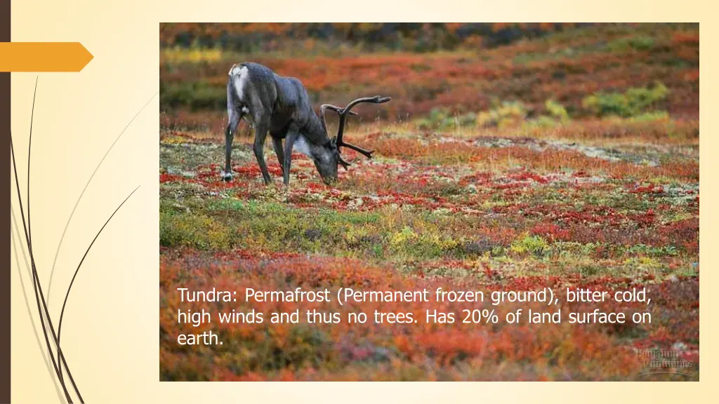 tundra permafrost permanent frozen ground bitter