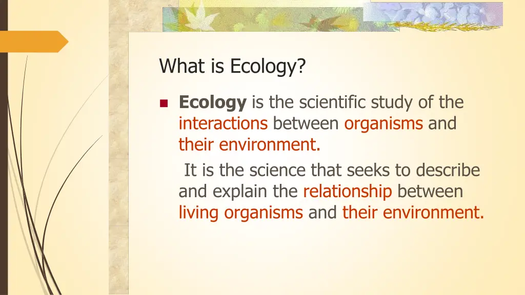 what is ecology