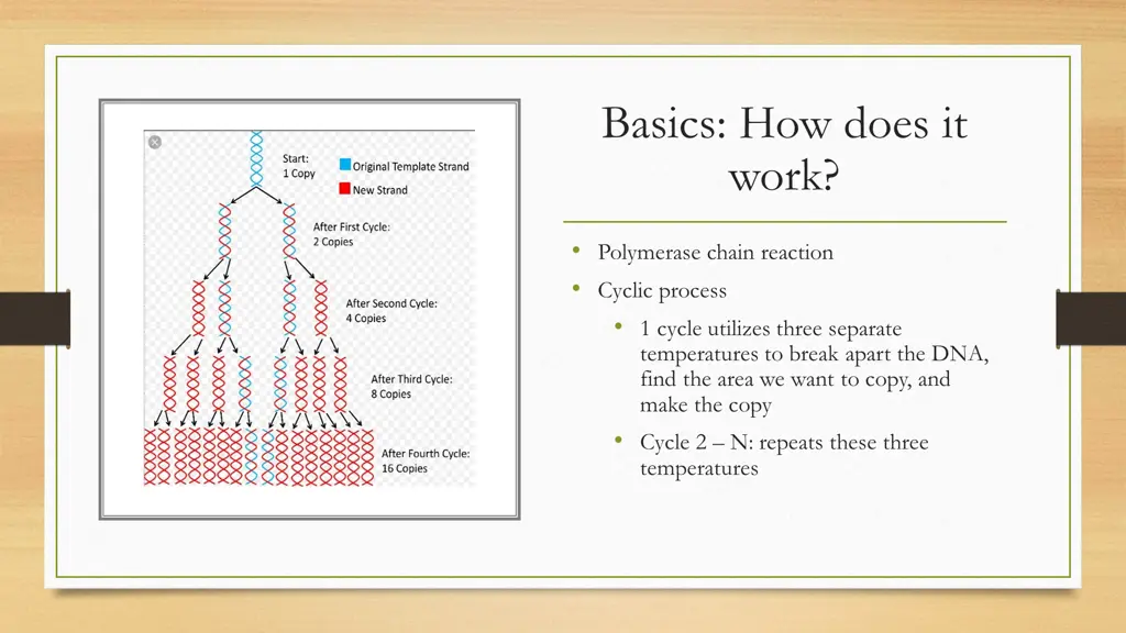 basics how does it work