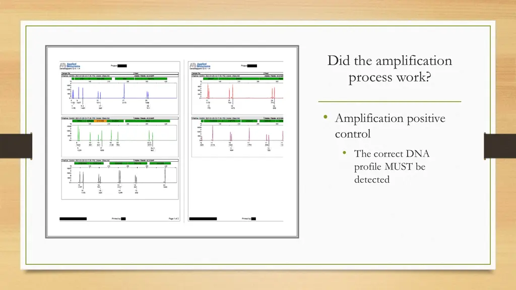 did the amplification process work