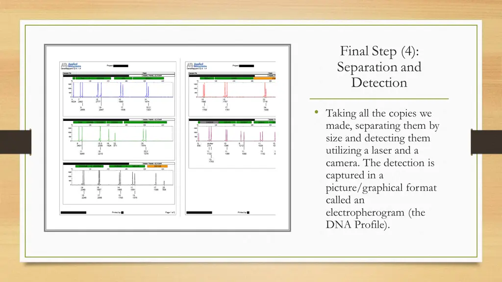 final step 4 separation and detection