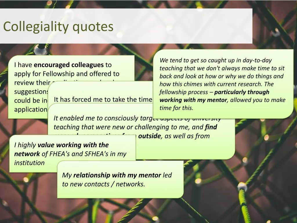 collegiality quotes