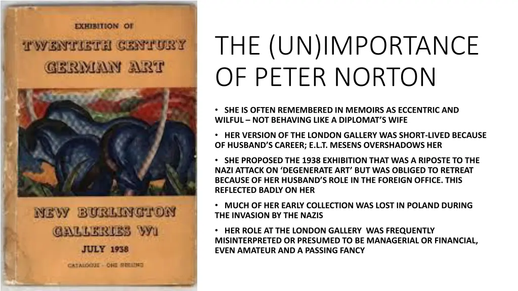 the un importance of peter norton