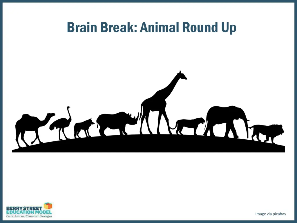 brain break animal round up