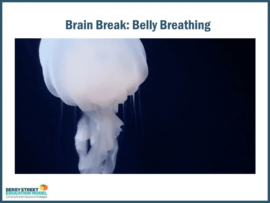 brain break belly breathing