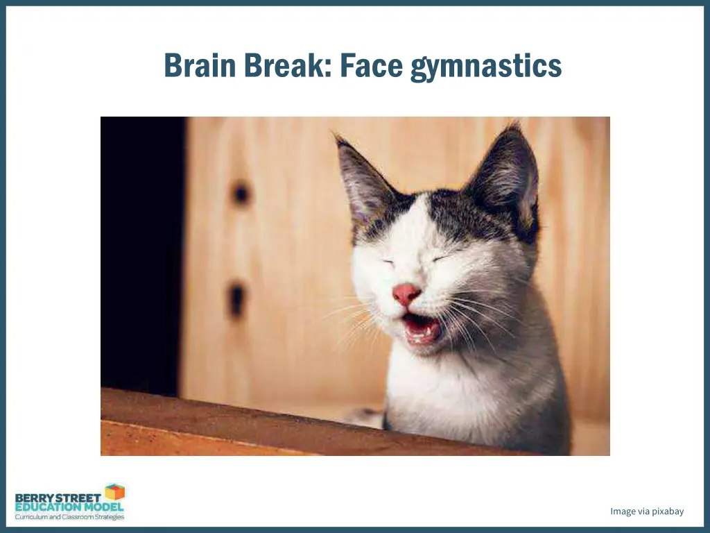 brain break face gymnastics