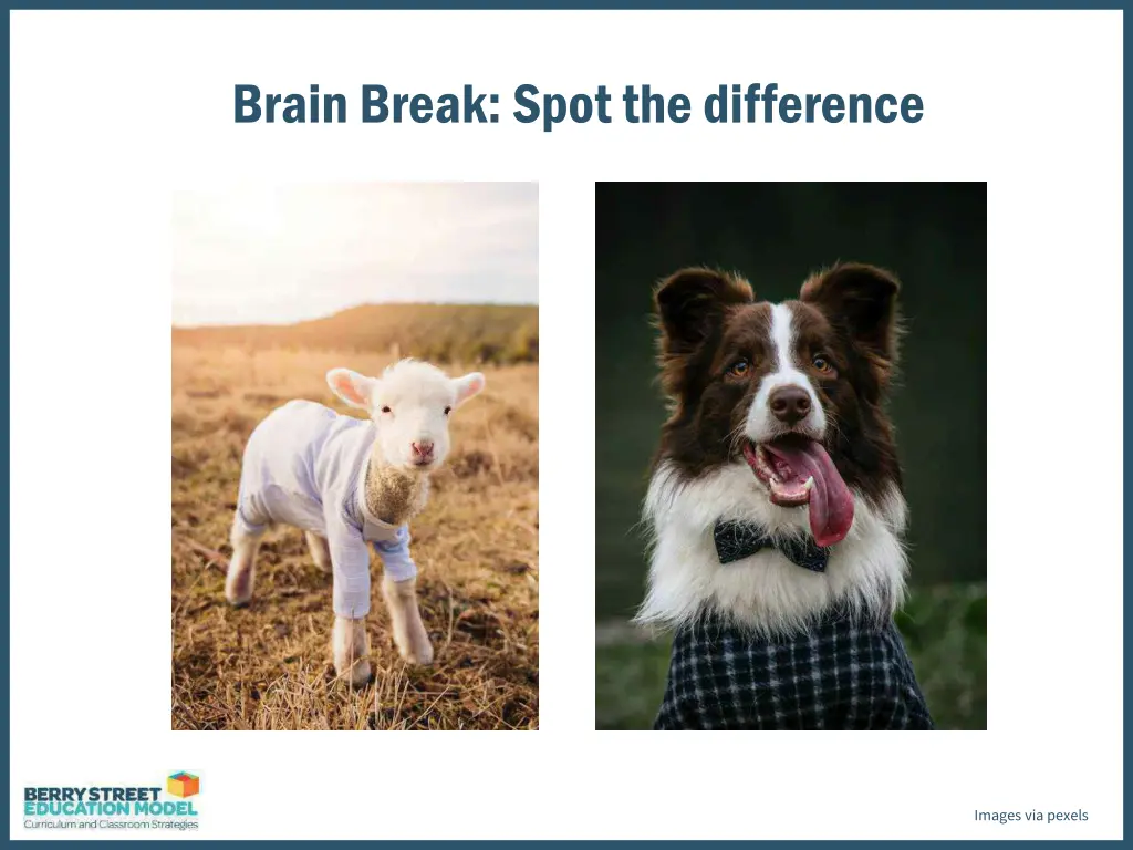 brain break spot the difference