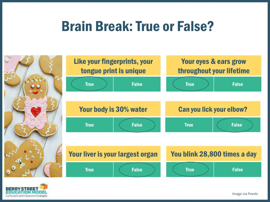 brain break true or false