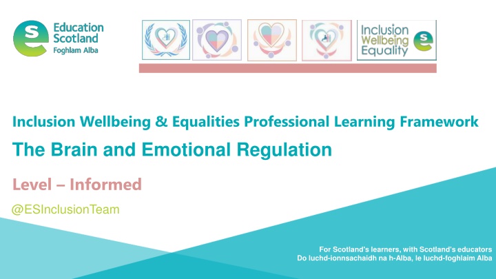 inclusion wellbeing equalities professional