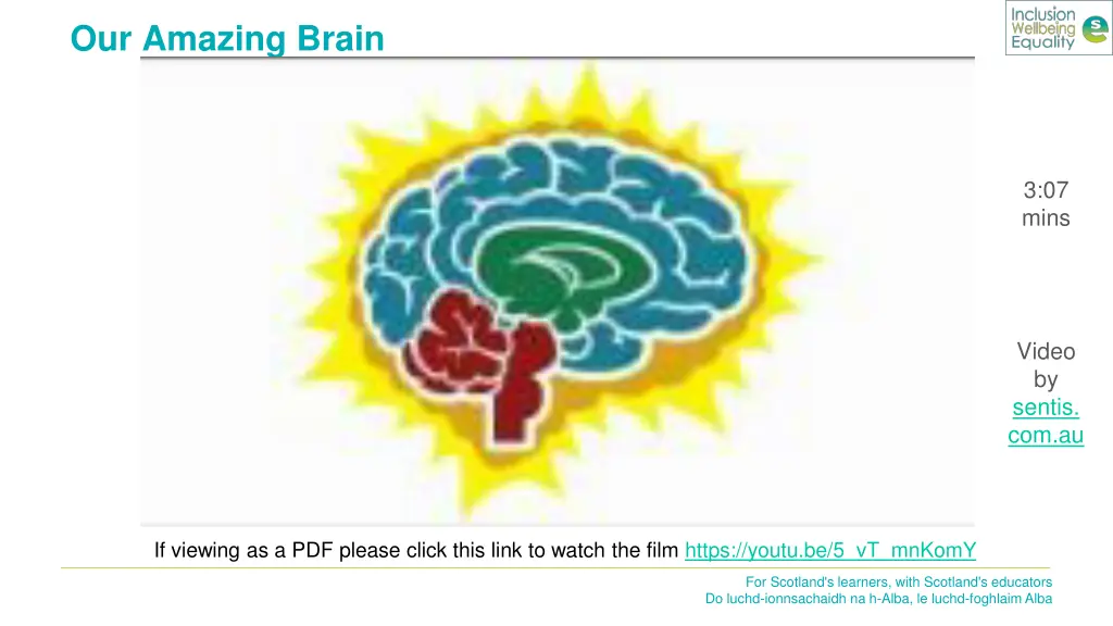 our amazing brain