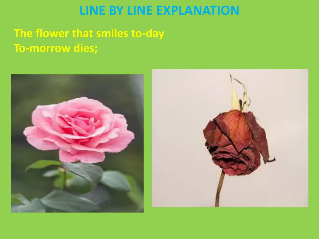 line by line explanation