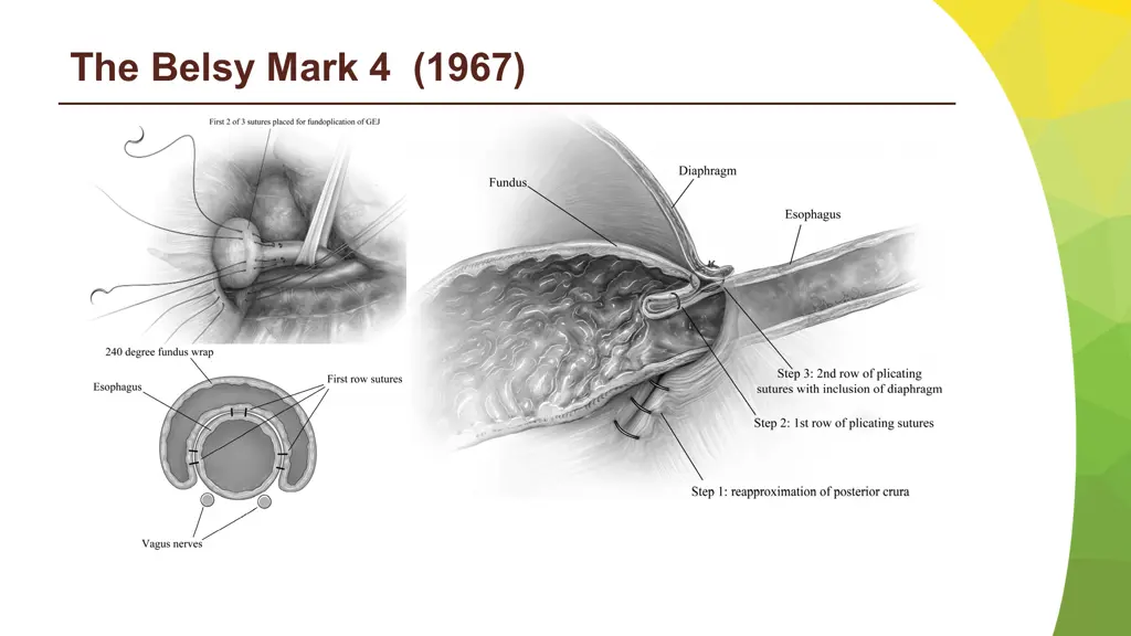 the belsy mark 4 1967