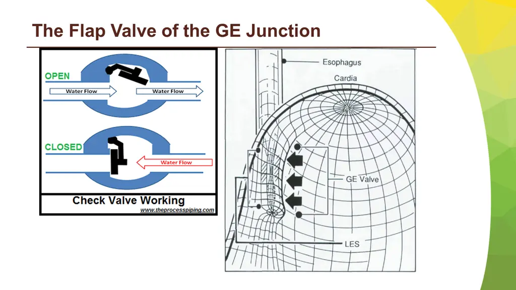 the flap valve of the ge junction