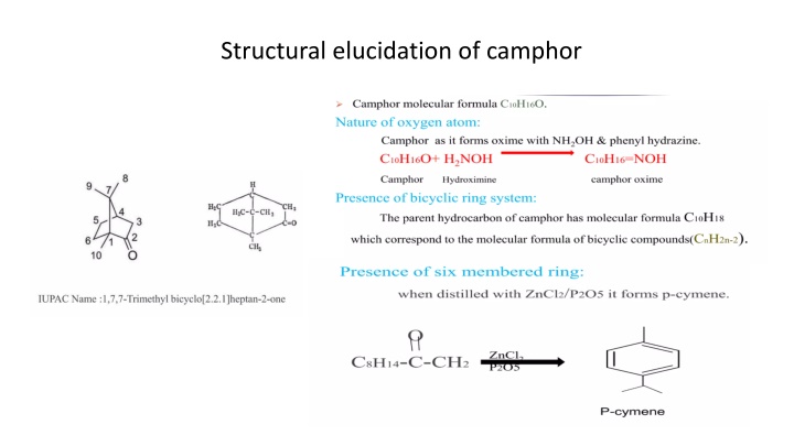 structural elucidation of camphor