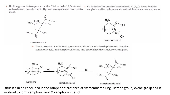 thus it can be concluded in the camphor