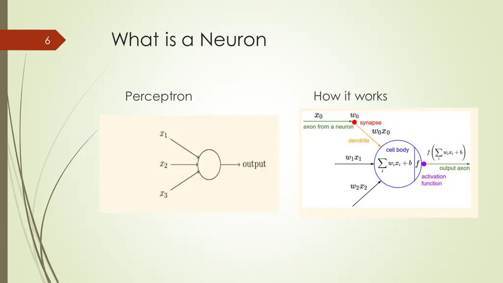 what is a neuron