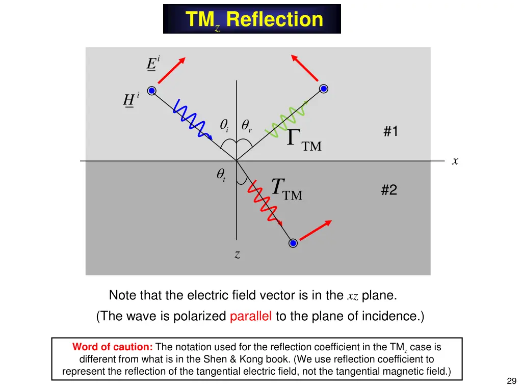 tm z reflection